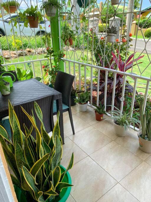 Cozy Villa Mammee Bay Bagian luar foto